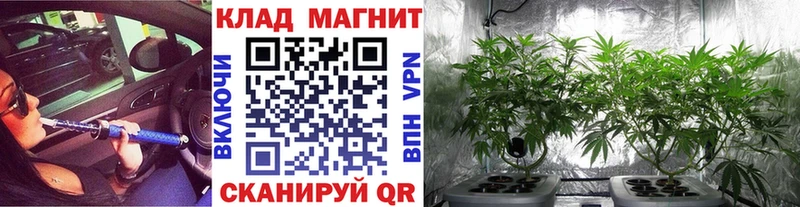 Что такое Карачаевск МДМА  МЕФ  МАРИХУАНА  APVP 