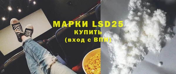 мяу мяу мука Аркадак