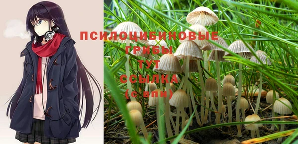 синтетический гашиш Армянск