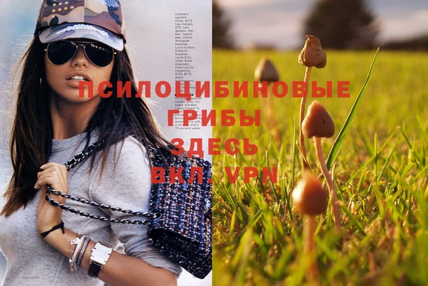 синтетический гашиш Армянск