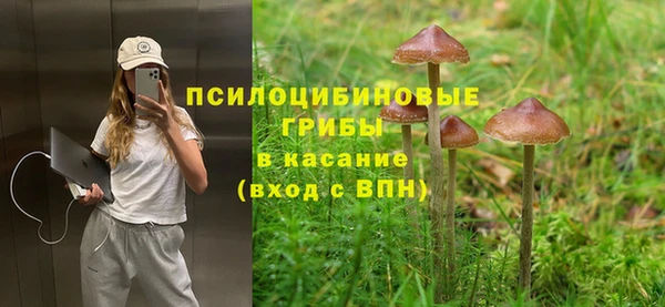 хмурый Алексеевка