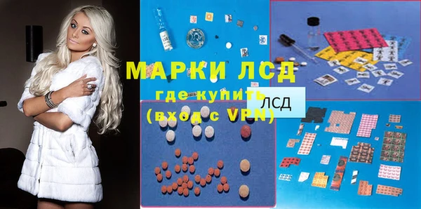 мяу мяу мука Аркадак