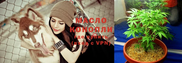 мяу мяу мука Аркадак
