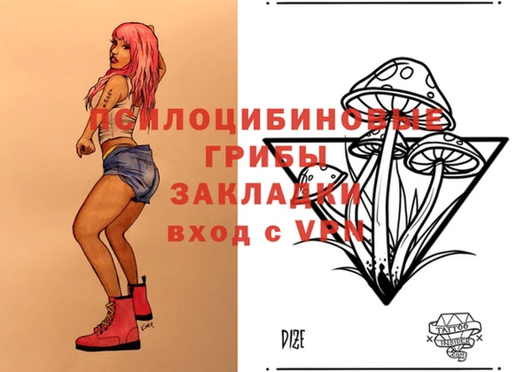мяу мяу мука Аркадак